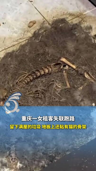 PעؑcһŮʧ·Mݵذ߀ճ؈ĹǼ